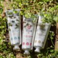 vegan-fox_local_ads-2 (1)